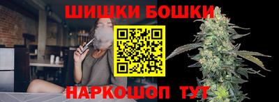 крисы Моздок