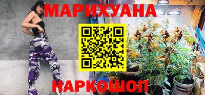 крисы Моздок