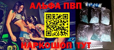 крисы Моздок
