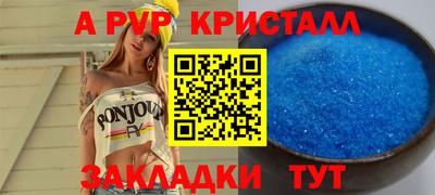 крисы Моздок