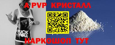крисы Моздок